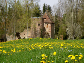 Château à Mittelhausen